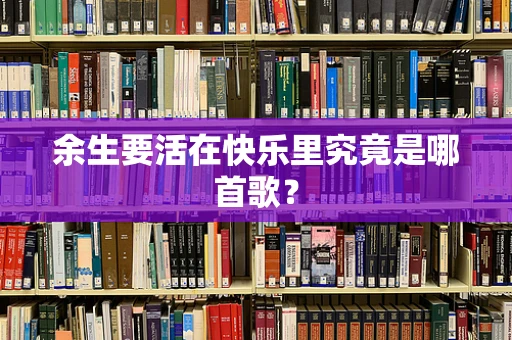 余生要活在快乐里究竟是哪首歌？