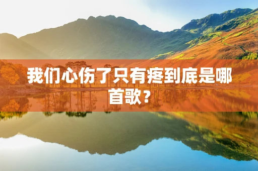 我们心伤了只有疼到底是哪首歌？