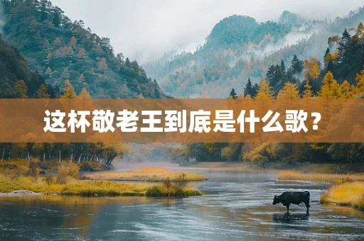 这杯敬老王到底是什么歌？
