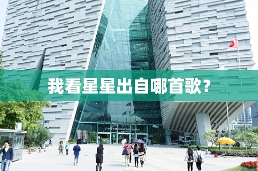 我看星星出自哪首歌？