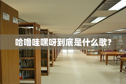 哈噜哇嘿呀到底是什么歌？