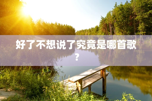 好了不想说了究竟是哪首歌？