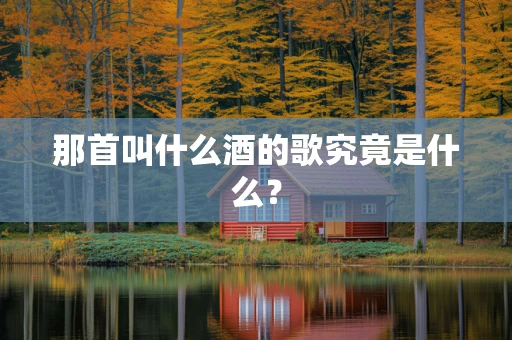 那首叫什么酒的歌究竟是什么？