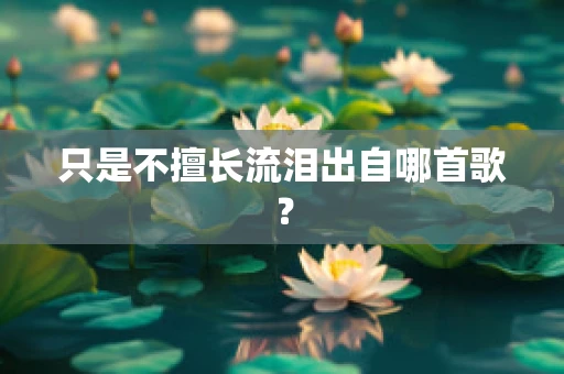 只是不擅长流泪出自哪首歌？