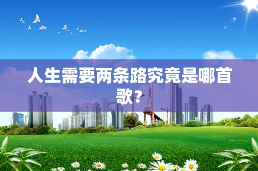 人生需要两条路究竟是哪首歌？