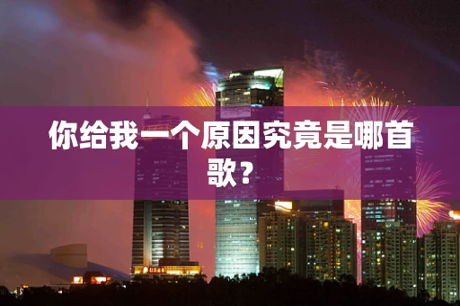 你给我一个原因究竟是哪首歌？