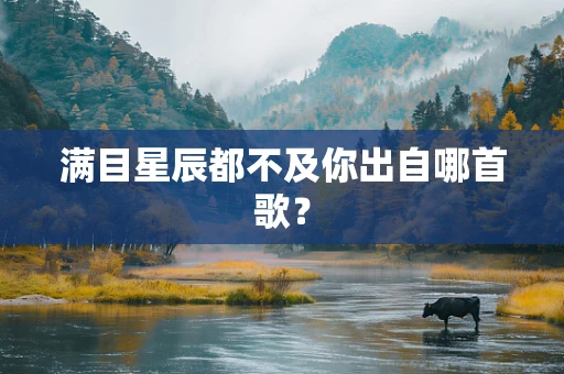 满目星辰都不及你出自哪首歌？