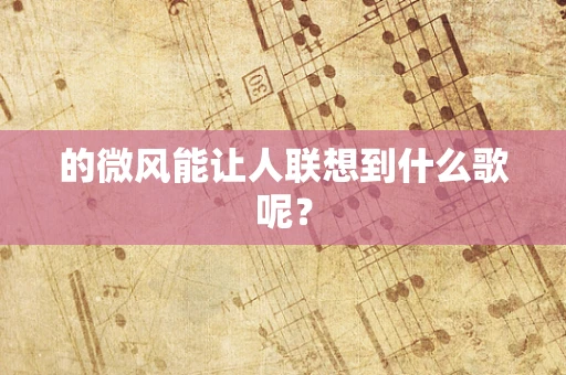的微风能让人联想到什么歌呢？