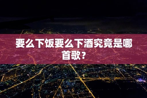 要么下饭要么下酒究竟是哪首歌？