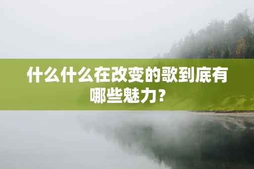 什么什么在改变的歌到底有哪些魅力？