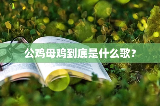 公鸡母鸡到底是什么歌？