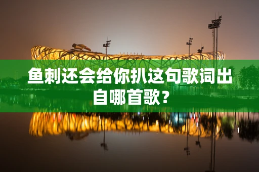鱼刺还会给你扒这句歌词出自哪首歌？