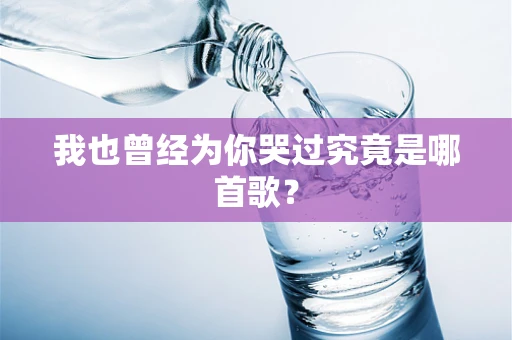 我也曾经为你哭过究竟是哪首歌？