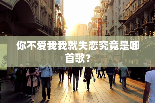 你不爱我我就失恋究竟是哪首歌？