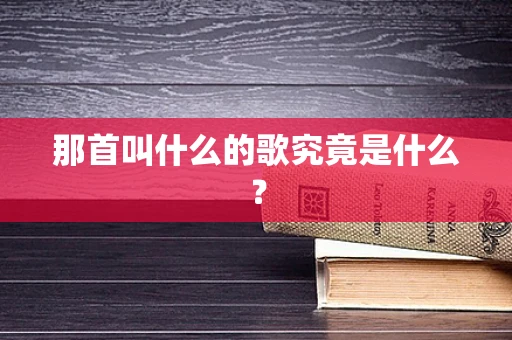 那首叫什么的歌究竟是什么？