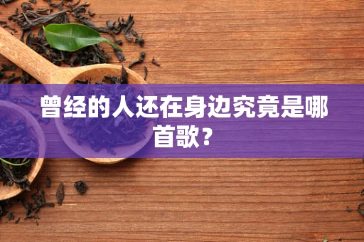 曾经的人还在身边究竟是哪首歌？
