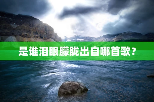 是谁泪眼朦胧出自哪首歌？