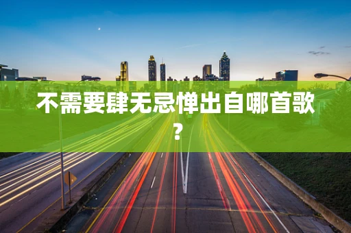 不需要肆无忌惮出自哪首歌？