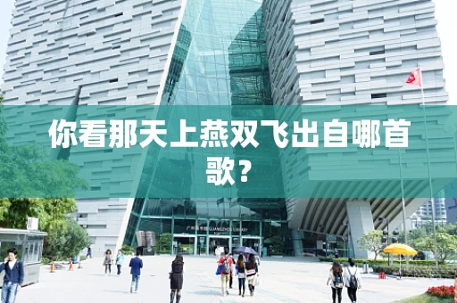 你看那天上燕双飞出自哪首歌？