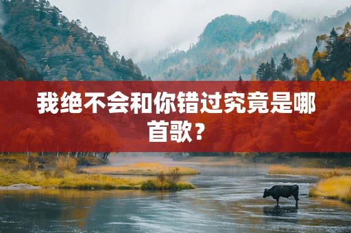 我绝不会和你错过究竟是哪首歌？