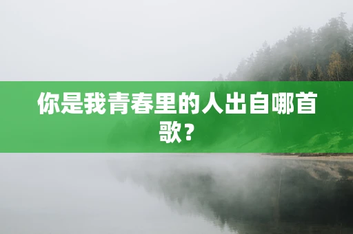 你是我青春里的人出自哪首歌？