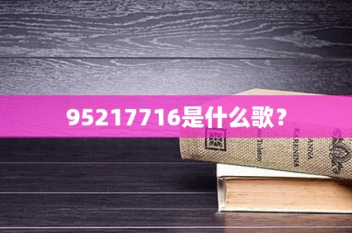 95217716是什么歌？