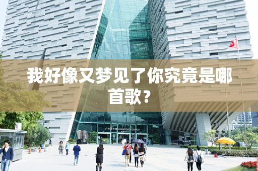 我好像又梦见了你究竟是哪首歌？