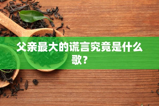 父亲最大的谎言究竟是什么歌？
