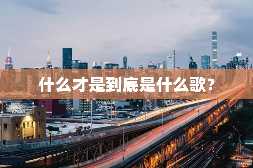 什么才是到底是什么歌？