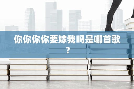 你你你你要嫁我吗是哪首歌？