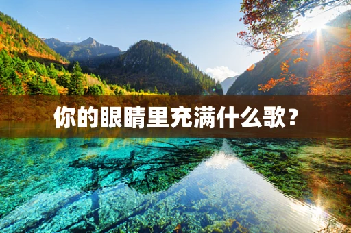 你的眼睛里充满什么歌？