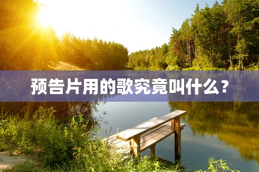 预告片用的歌究竟叫什么？
