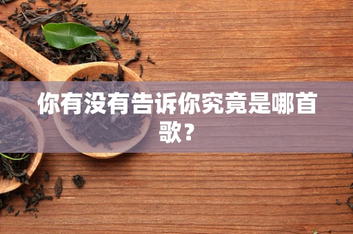 你有没有告诉你究竟是哪首歌？