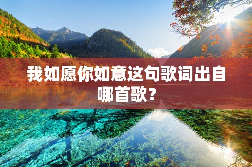 我如愿你如意这句歌词出自哪首歌？