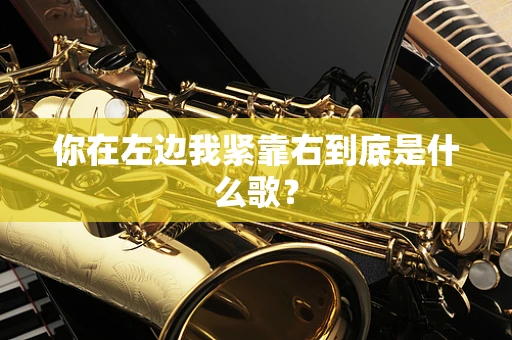 你在左边我紧靠右到底是什么歌？