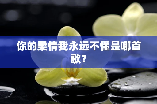 你的柔情我永远不懂是哪首歌？