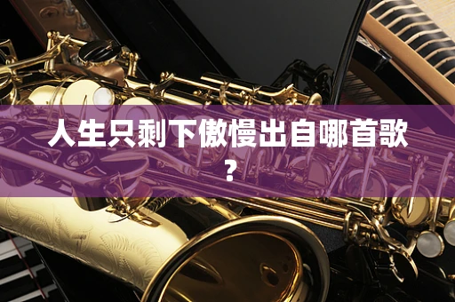 人生只剩下傲慢出自哪首歌？