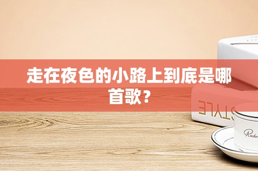 走在夜色的小路上到底是哪首歌？
