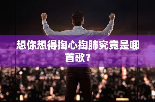 想你想得掏心掏肺究竟是哪首歌？