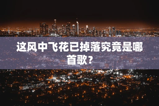 这风中飞花已掉落究竟是哪首歌？