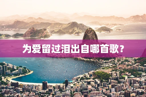 为爱留过泪出自哪首歌？