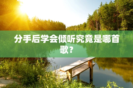 分手后学会倾听究竟是哪首歌？