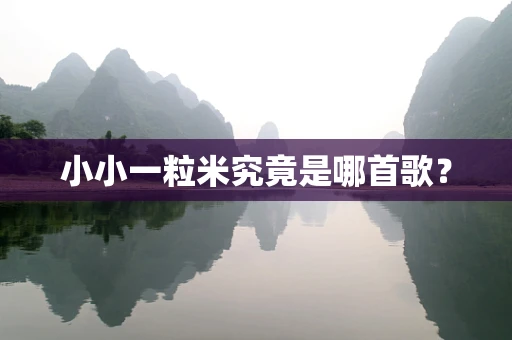 小小一粒米究竟是哪首歌？
