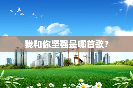我和你坚强是哪首歌？