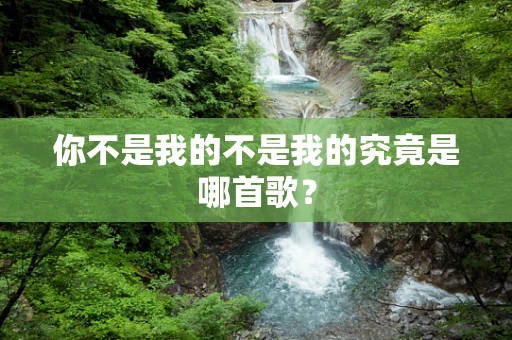 你不是我的不是我的究竟是哪首歌？