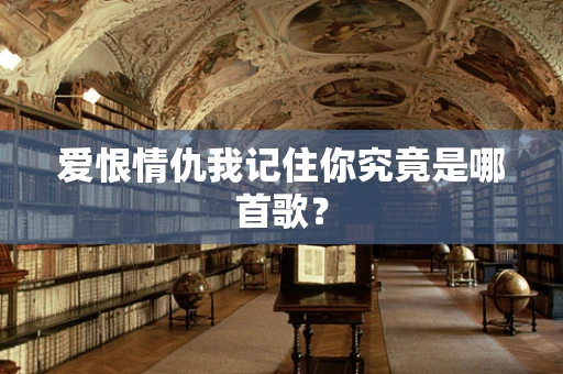 爱恨情仇我记住你究竟是哪首歌？
