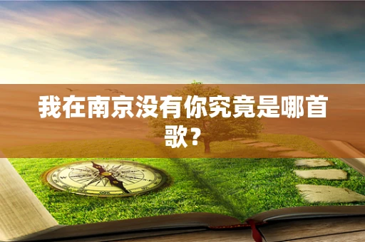 我在南京没有你究竟是哪首歌？