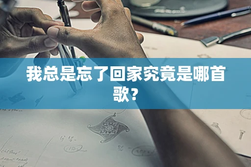 我总是忘了回家究竟是哪首歌？