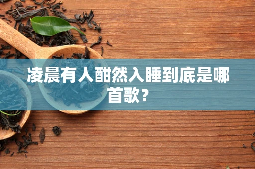 凌晨有人酣然入睡到底是哪首歌？