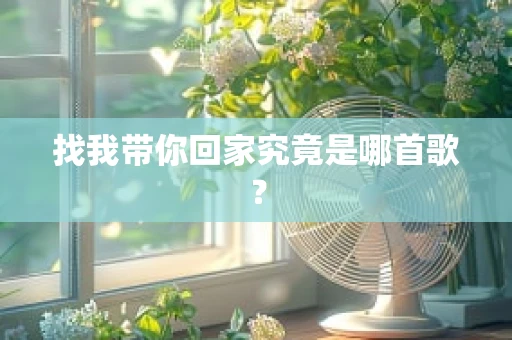 找我带你回家究竟是哪首歌？